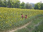Photo 2006_0704Image0092.jpg